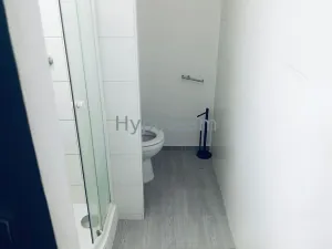 Pronájem bytu 1+1, Ústí nad Labem - Severní Terasa, Glennova, 36 m2