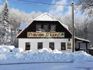 Prodej rodinného domu, Josefův Důl, 550 m2