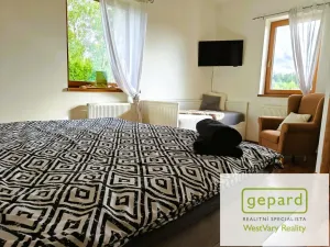 Prodej rodinného domu, Nová Role - Mezirolí, 350 m2