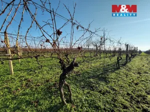 Prodej pole, Velké Bílovice, 3600 m2