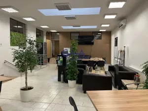 Pronájem obchodního prostoru, Hodonín, Příční, 240 m2