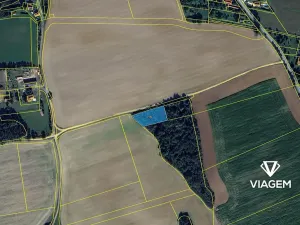 Prodej lesa, Lisov, 2042 m2