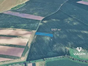 Prodej podílu pole, Velké Němčice, 1732 m2