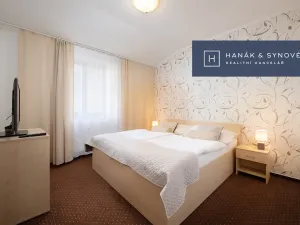 Pronájem bytu 2+1, Brno, Anenská, 50 m2