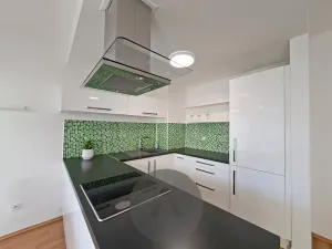 Pronájem bytu 2+kk, Brno, Leitnerova, 62 m2