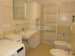 Pronájem bytu 3+kk, Plzeň, U Velkého rybníka, 87 m2