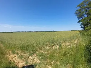 Prodej pole, Čestlice, Říčanská, 678 m2