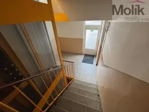 Pronájem bytu 1+1, Duchcov, Osecká, 39 m2