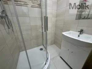 Pronájem bytu 2+1, Duchcov, Sadová, 56 m2