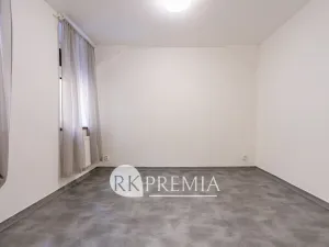 Pronájem bytu 4+1, Teplice, U Hadích lázní, 160 m2