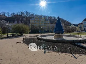 Pronájem bytu 4+1, Teplice, U Hadích lázní, 160 m2