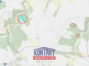 Prodej lesa, Okrouhlice - Vadín, 13839 m2