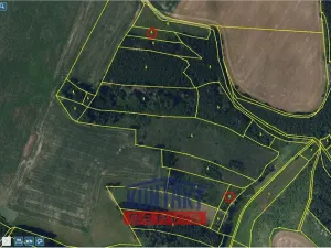 Prodej lesa, Okrouhlice - Vadín, 13839 m2