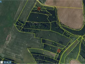 Prodej lesa, Okrouhlice - Vadín, 12243 m2