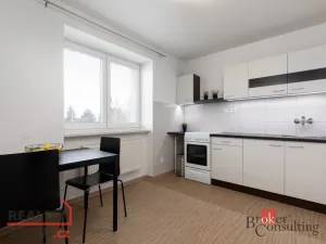 Pronájem bytu 1+1, Dolní Benešov, Osada míru, 33 m2