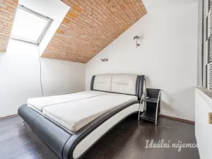 Pronájem bytu 2+kk, Praha - Nové Město, Sokolská, 55 m2