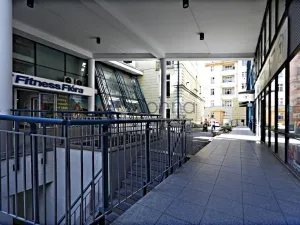 Pronájem obchodního prostoru, Praha, Chrudimská, 257 m2