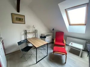 Pronájem bytu 1+kk, České Budějovice - České Budějovice 6, Mánesova, 22 m2