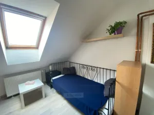 Pronájem bytu 1+kk, České Budějovice - České Budějovice 6, Mánesova, 22 m2