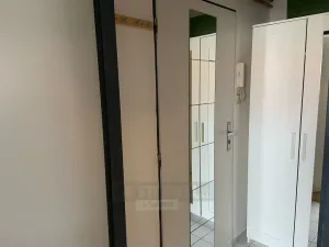 Pronájem bytu 1+kk, České Budějovice - České Budějovice 6, Mánesova, 22 m2