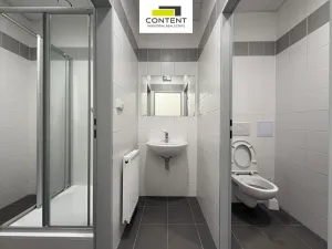 Pronájem výrobních prostor, Kladno - Dubí, Dubská, 1026 m2