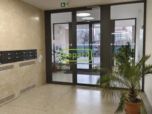 Pronájem bytu 2+kk, Brno - Zábrdovice, Slepá, 45 m2