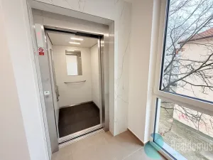 Pronájem bytu 2+kk, České Budějovice, Hálkova, 45 m2