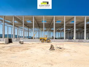 Pronájem výrobních prostor, Solnice, Průmyslová, 18000 m2