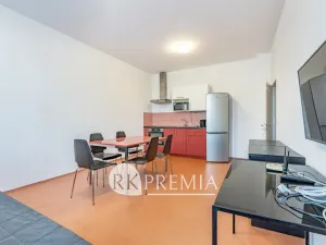 Pronájem bytu 3+kk, Teplice, U Hadích lázní, 86 m2