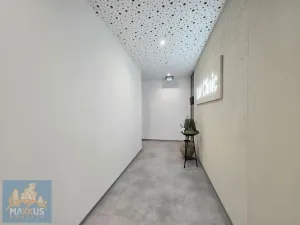 Pronájem ordinace, Praha - Michle, Jihlavská, 20 m2