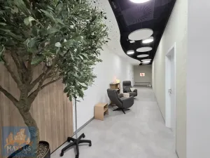 Pronájem ordinace, Praha - Michle, Jihlavská, 30 m2