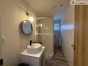 Pronájem bytu 1+kk, Tisá, 33 m2