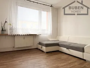 Prodej bytu 1+1, Bor, Borská, 40 m2