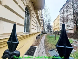 Pronájem bytu 2+kk, Praha - Vinohrady, Lublaňská, 56 m2