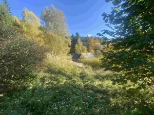 Dražba louky, Lučany nad Nisou, 179 m2