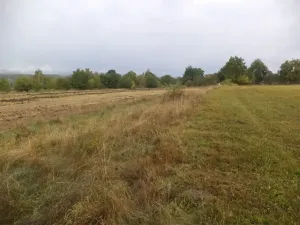 Dražba louky, Horní Pěna, 1083 m2