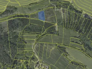 Prodej lesa, Tehov, 4064 m2