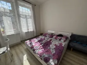 Pronájem bytu 1+1, České Budějovice - České Budějovice 6, Mánesova, 44 m2