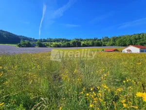 Prodej pozemku pro bydlení, Štěpánov nad Svratkou, 1299 m2