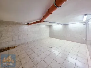 Pronájem výrobních prostor, Hostomice, Tyršovo náměstí, 220 m2
