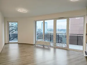 Pronájem bytu 2+kk, České Budějovice, Na Zlaté stoce, 50 m2