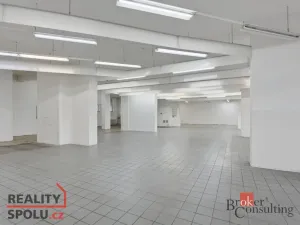 Pronájem obchodního prostoru, Pardubice - Zelené Předměstí, Palackého třída, 395 m2