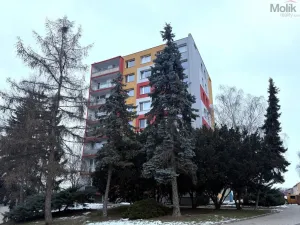 Pronájem bytu 2+kk, Bílina - Újezdské Předměstí, Tylova, 40 m2