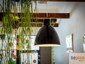 Pronájem restaurace, Brno, Štefánikova, 35 m2