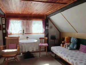 Prodej chalupy, Hodkovice nad Mohelkou, Česká, 100 m2