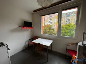 Pronájem bytu 1+1, Chomutov, Dřínovská, 42 m2