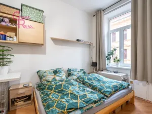 Pronájem bytu 1+1, Brno - Zábrdovice, Spolková, 36 m2