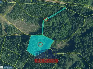 Prodej lesa, Kasejovice - Chloumek, 4325 m2