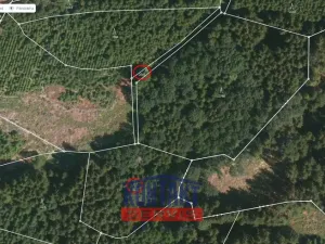 Prodej lesa, Kasejovice - Chloumek, 4325 m2