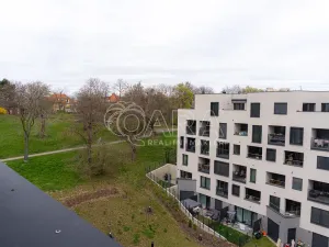 Pronájem bytu 2+kk, Praha - Žižkov, Olgy Havlové, 52 m2